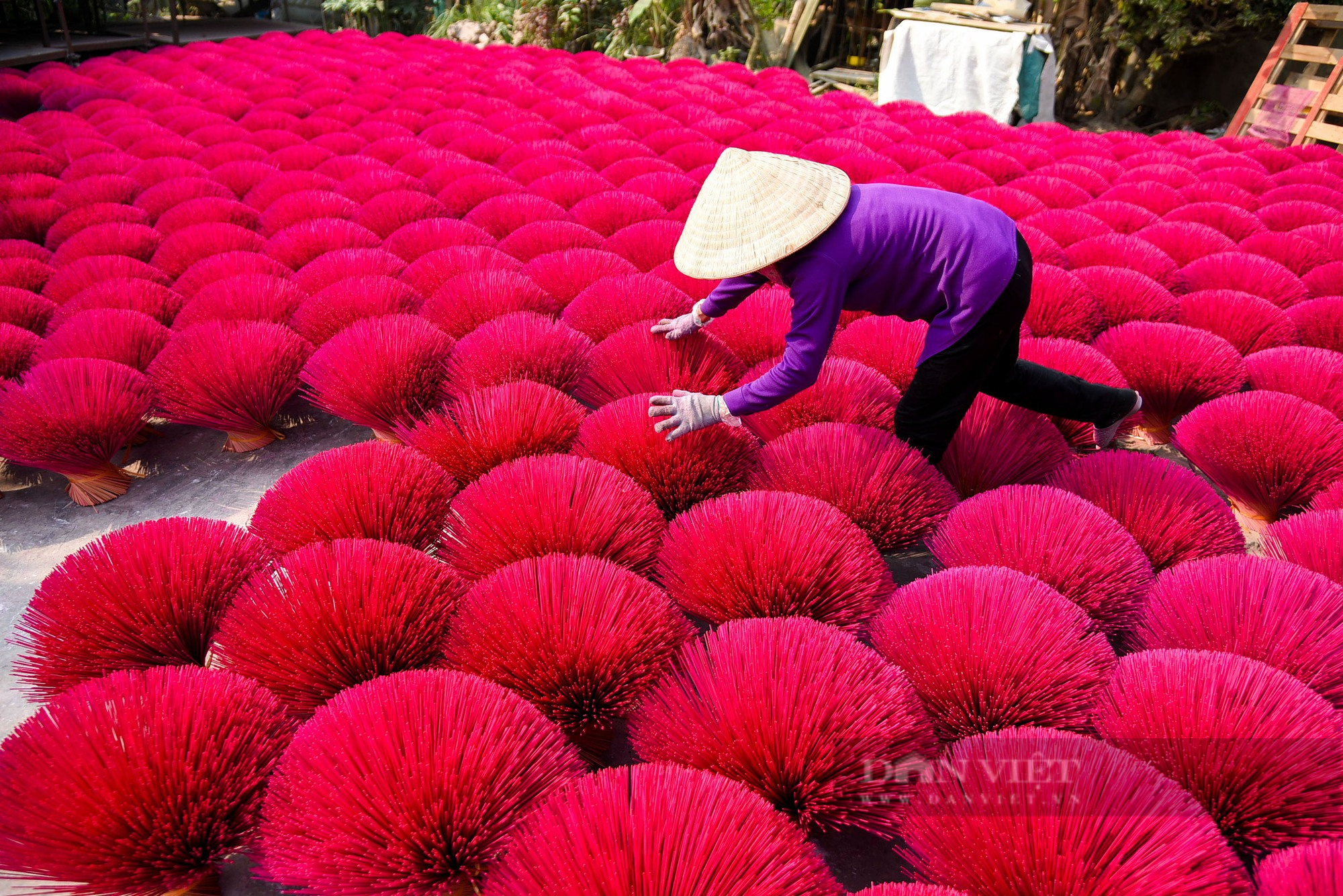 Du khách quốc tế thích thú check in cùng những &quot;bó hoa đỏ&quot; ở làng hương Quảng Phú Cầu - Ảnh 10.
