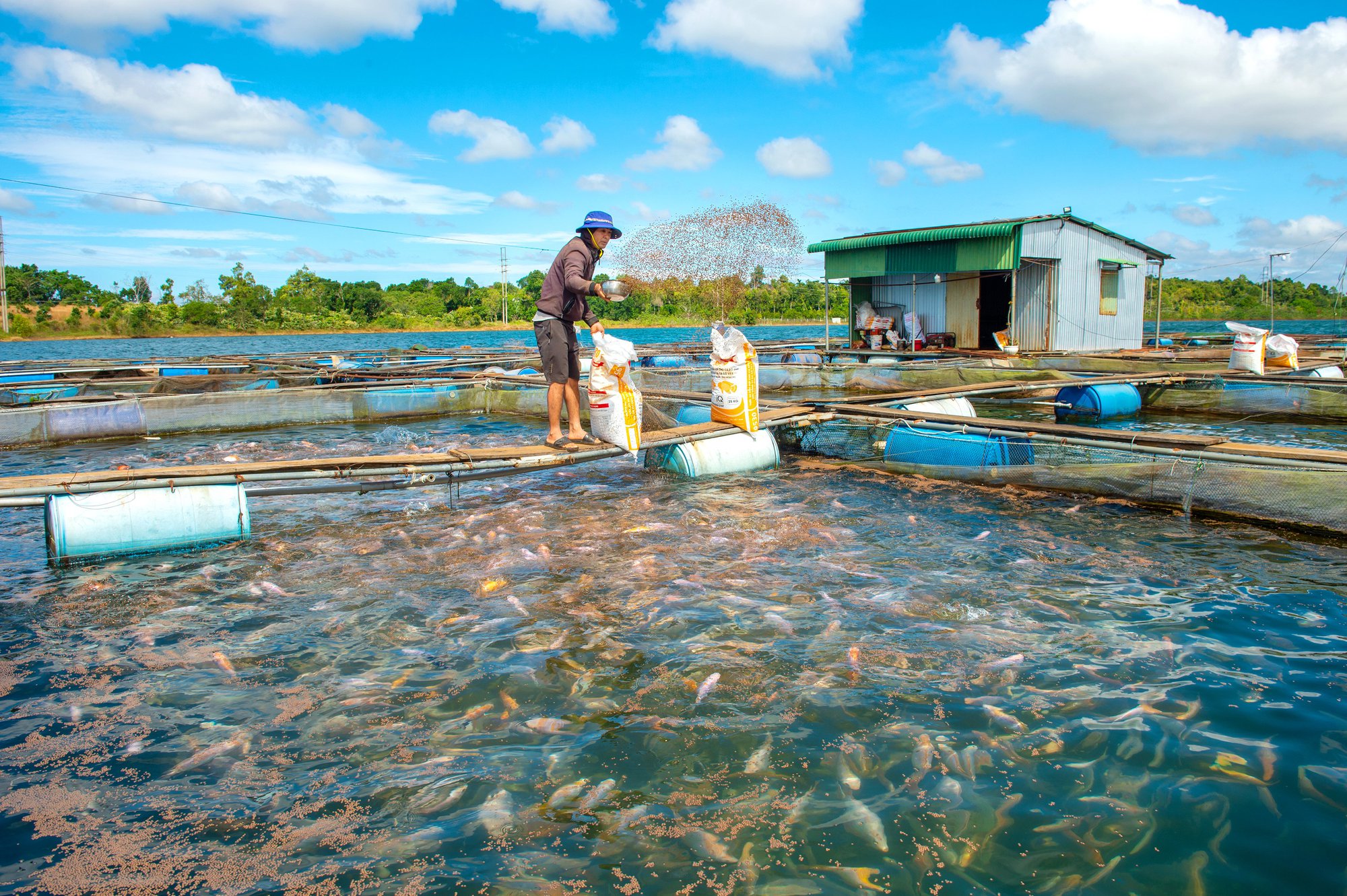 Chủ tịch tỉnh Đắk Nông đối thoại với nông dân: Tháo gỡ khó khăn, vướng mắc để phát triển - Ảnh 1.