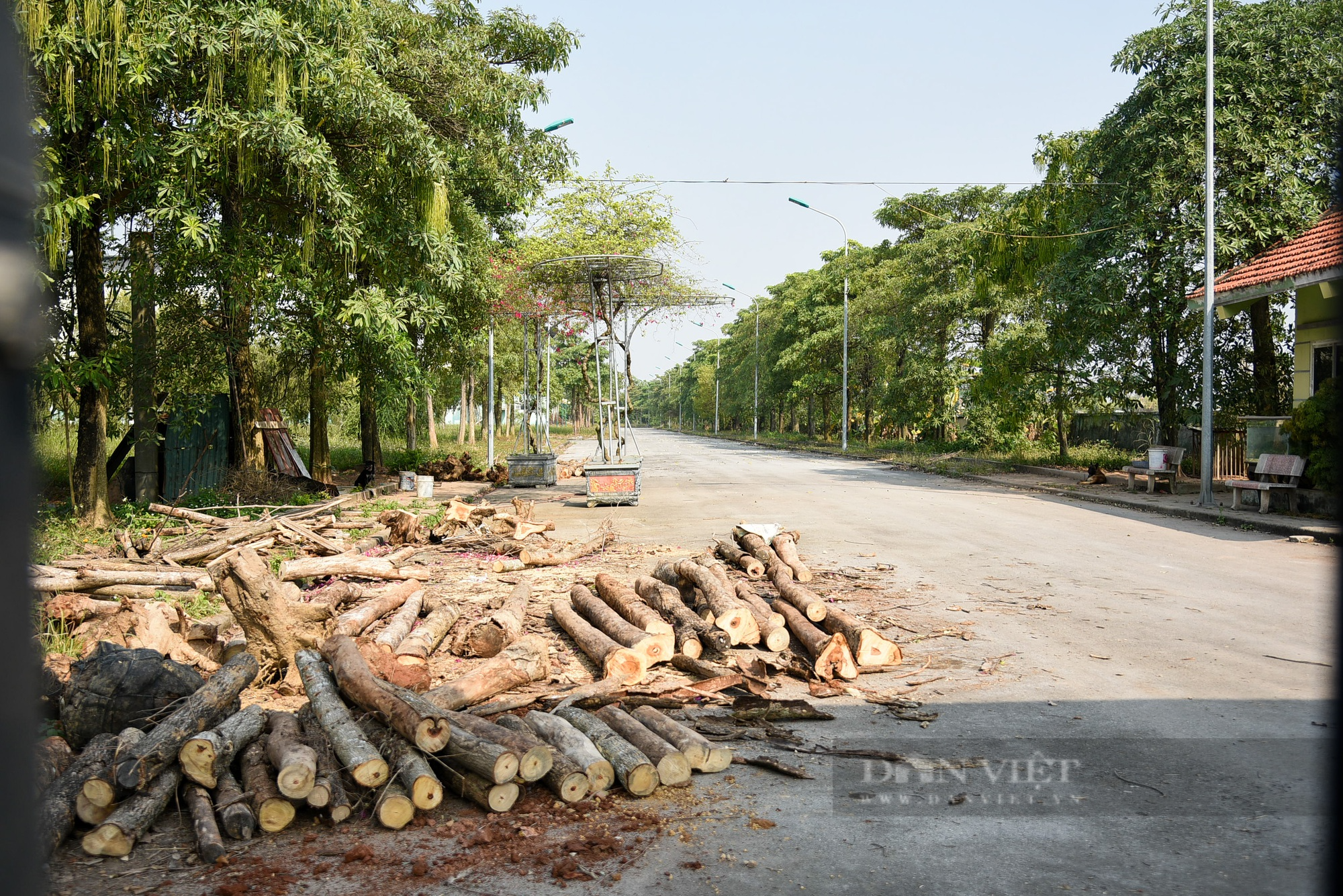 Toàn cảnh nhà máy rác trị giá hơn 200 tỉ bỏ hoang ở Hà Nội - Ảnh 8.