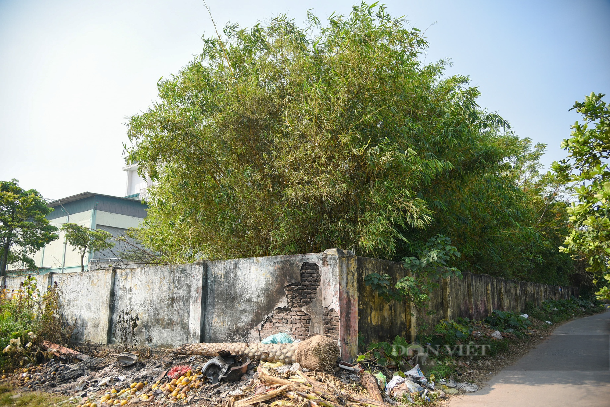 Toàn cảnh nhà máy rác trị giá hơn 200 tỉ bỏ hoang ở Hà Nội - Ảnh 12.