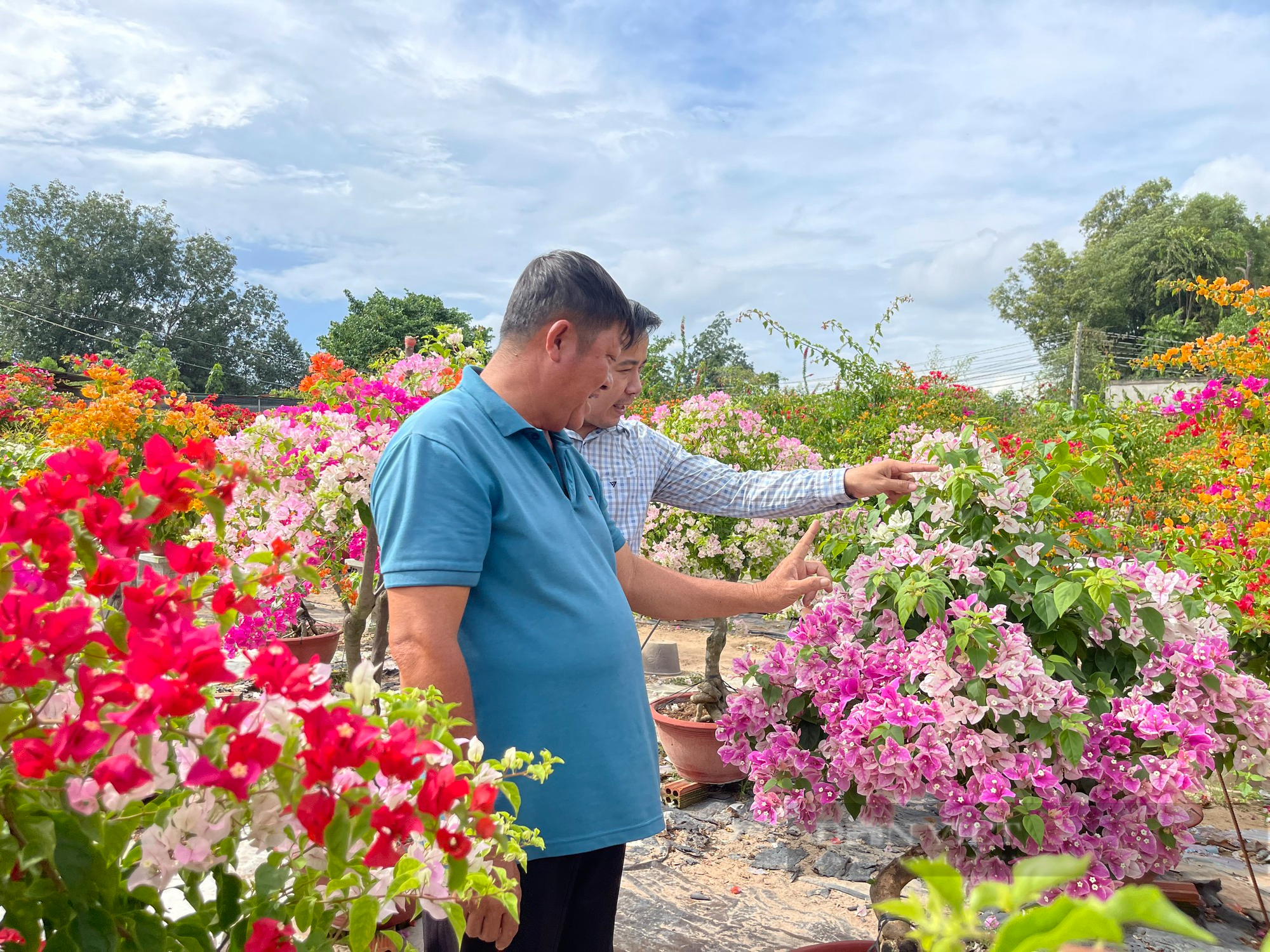 Đồng Nai: Thêm 21 xã đạt chuẩn nông thôn mới nâng cao, kiểu mẫu - Ảnh 1.