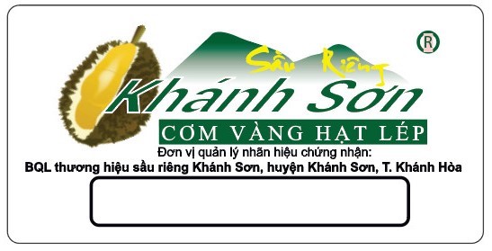&quot;Cây tiền tỷ&quot; ra loại quả ngon cơm vàng hạt lép ở Khánh Hòa vẫn giữ được thương hiệu sau gần 11 năm - Ảnh 3.
