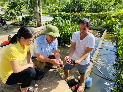 Nuôi 2 con đặc sản, một con trên cạn, một con dưới nước, ông nông dân Hà Giang khá giả hẳn lên - Ảnh 1.