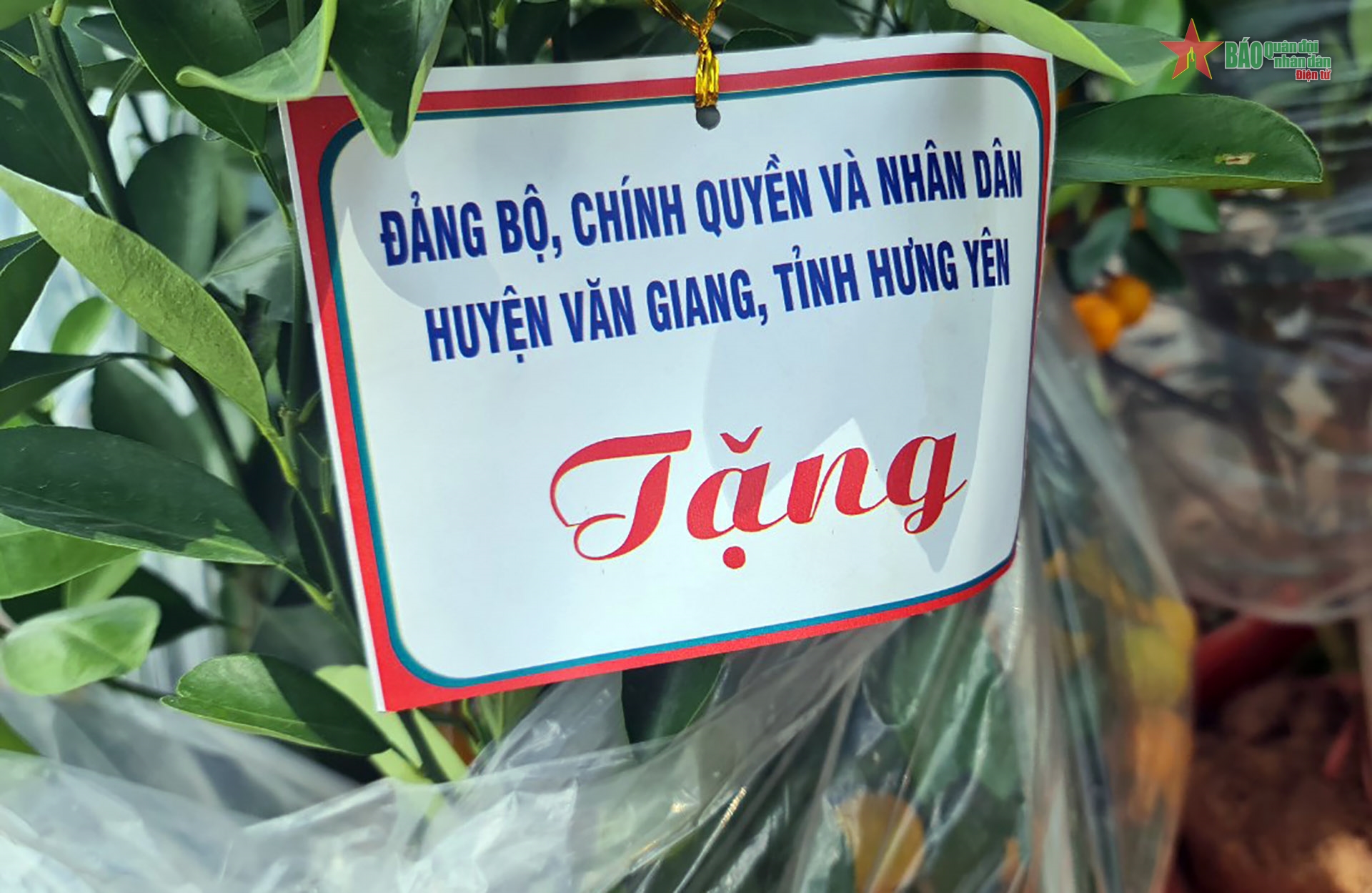 “Mùa Xuân” đã có mặt trên những chuyến tàu ngày mai ra khơi - Ảnh 10.