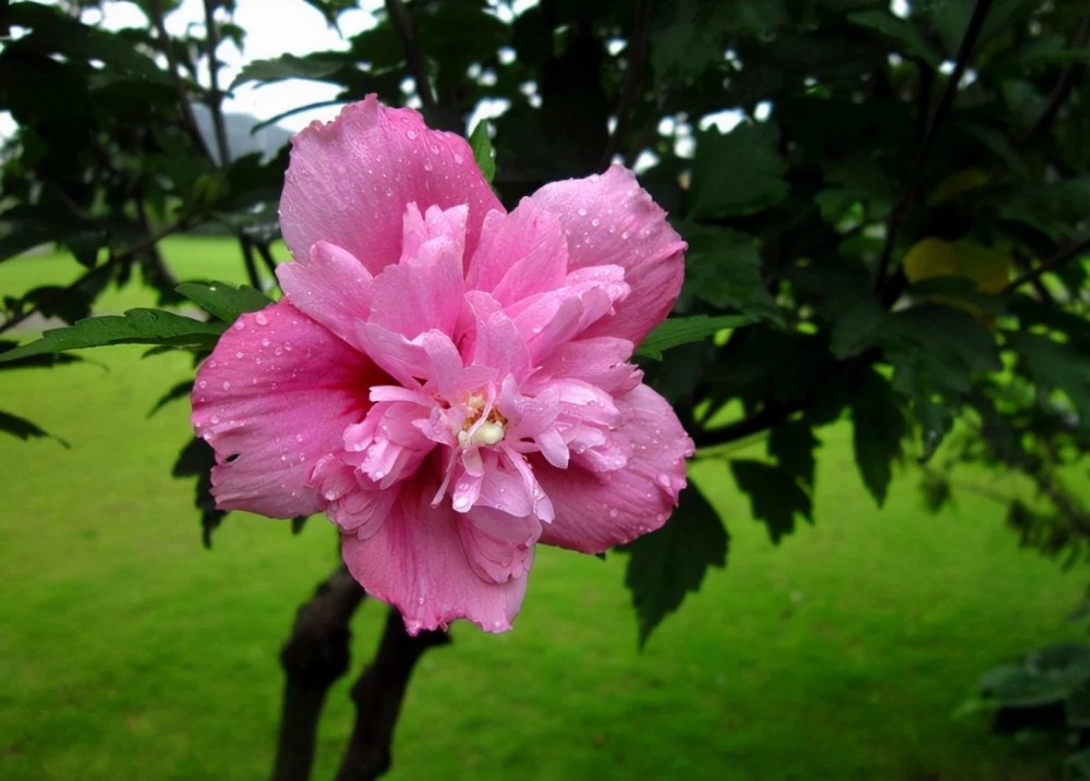 Sinh vào 4 tháng Âm lịch này, có quý nhân song hành, sự nghiệp thênh thanh, rộng mở - Ảnh 3.