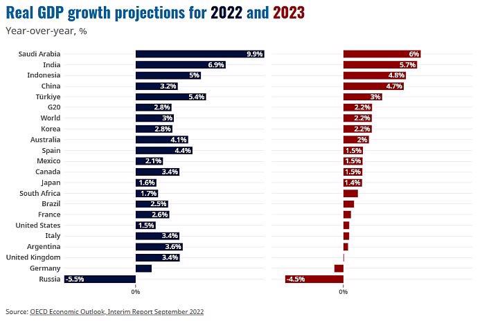 Bức tranh kinh tế Việt Nam 2022, những gam màu tối - sáng - Ảnh 3.