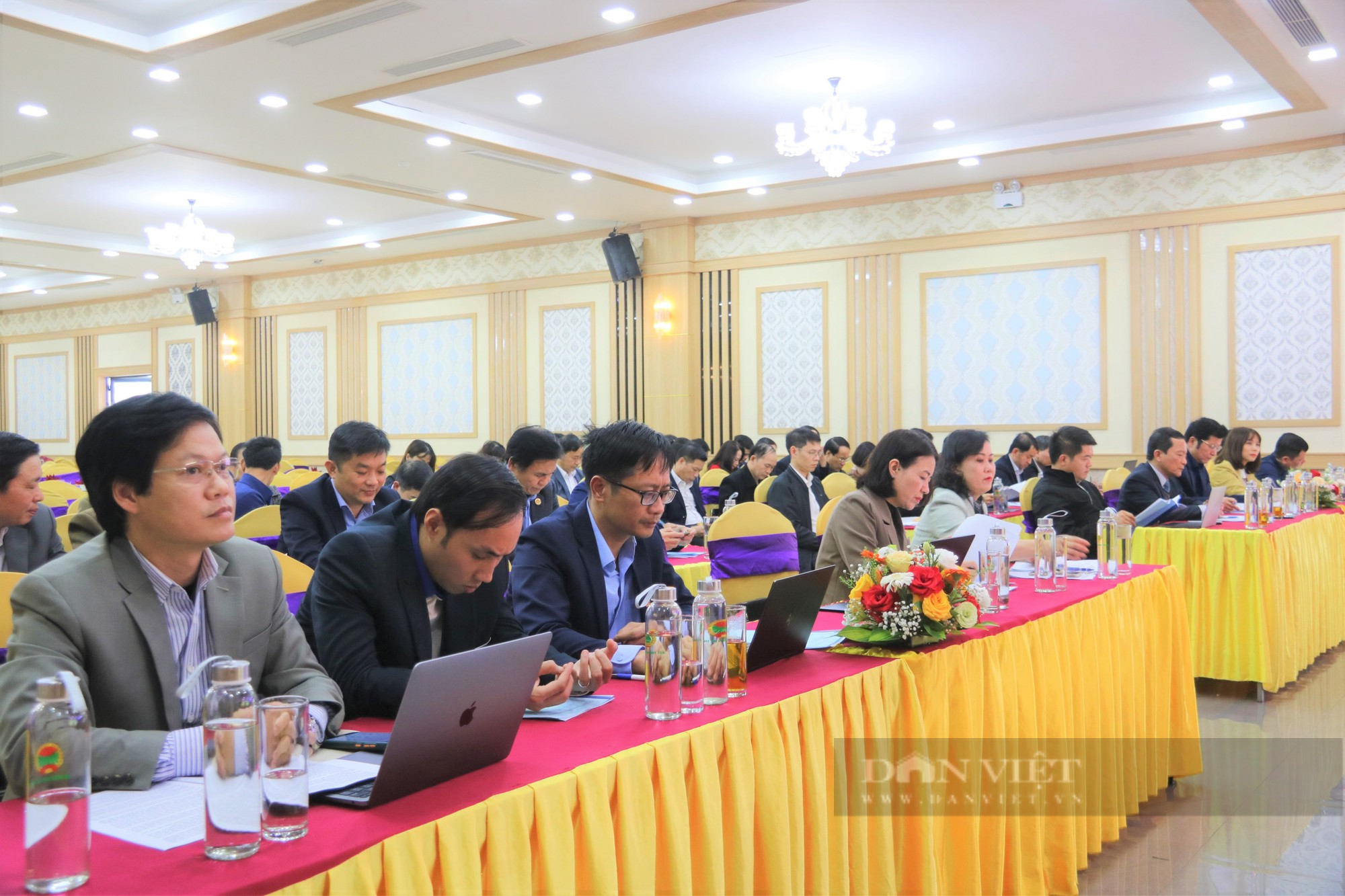 Hà Tĩnh: Hơn 164.000 hộ gia đình đăng ký đạt danh hiệu sản xuất kinh doanh giỏi năm 2022 - Ảnh 1.