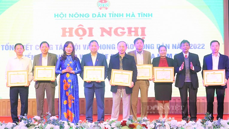 Hà Tĩnh: Hơn 164.000 hộ gia đình đăng ký đạt danh hiệu sản xuất kinh doanh giỏi năm 2022 - Ảnh 2.