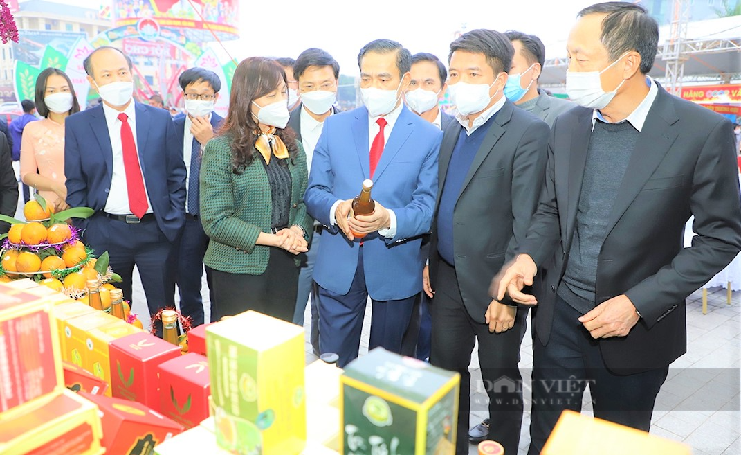 Hà Tĩnh: Hơn 164.000 hộ gia đình đăng ký đạt danh hiệu sản xuất kinh doanh giỏi năm 2022 - Ảnh 4.