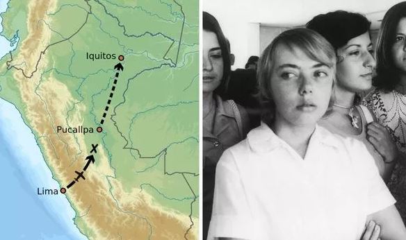 Cô gái tuổi teen rơi từ máy bay vẫn sống sót suốt 11 ngày trong rừng rậm Amazon - Ảnh 1.