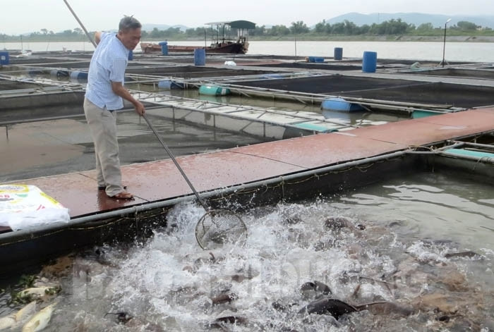 TP.Chí Linh của tỉnh Hải Dương có 68 hồ thủy lợi, dưới các hồ này có chứa &quot;mỏ vàng&quot; cần khai thác - Ảnh 1.