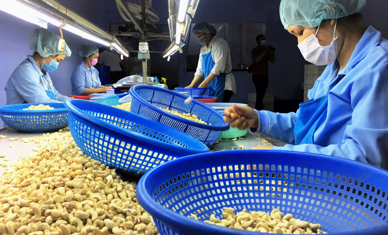 Một loại hạt được nhập khẩu ồ ạt về Việt Nam, doanh nghiệp trong nước kiến nghị khẩn - Ảnh 1.