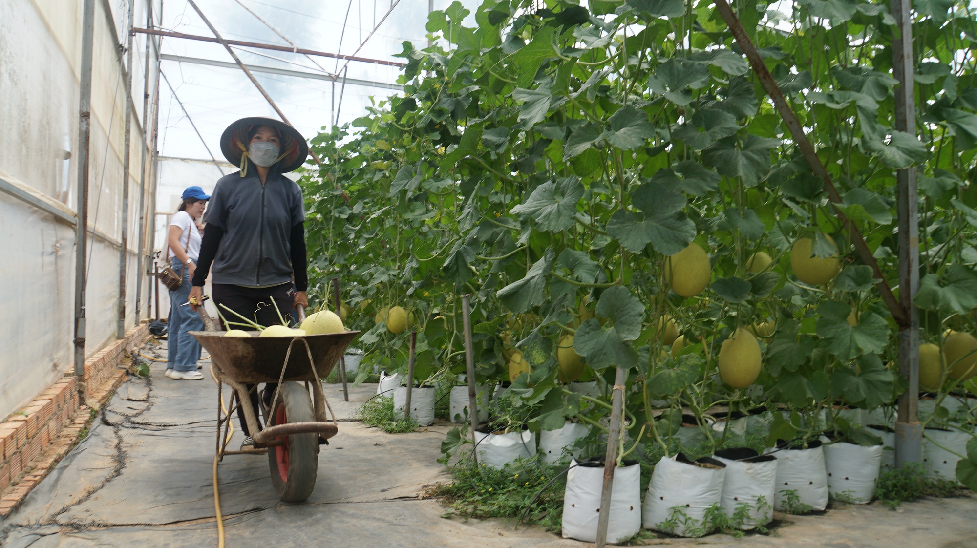 Chủ tịch tỉnh Đắk Nông đối thoại với nông dân: Tập trung thực hiện 9 giải pháp - Ảnh 1.