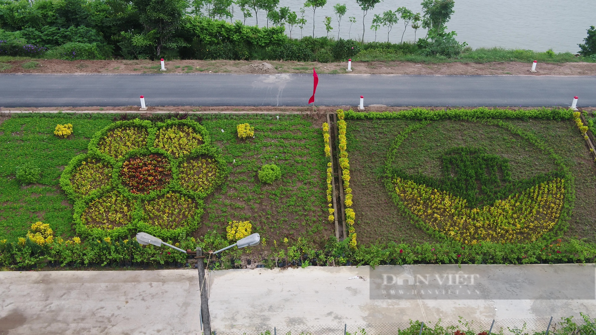 “Vườn hoa” nở rộ trên tuyến đê kiểu mẫu Điền Xá Nam Định - Ảnh 3.