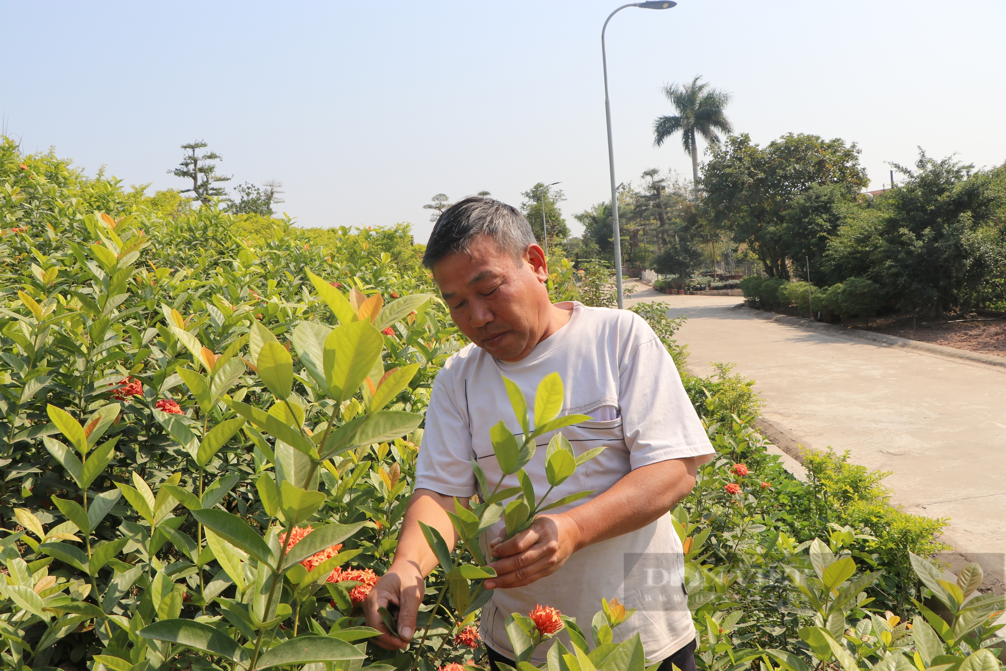 Điểm nhấn bất ngờ trên tuyến đê kiểu mẫu &quot;hút hồn&quot; người dân ở Nam Định - Ảnh 5.