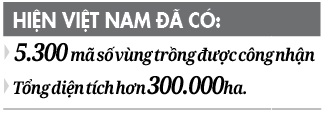 Trái cây Việt xuất ngoại: Mở thị trường đã khó, giữ thị phần còn khó hơn - Ảnh 4.