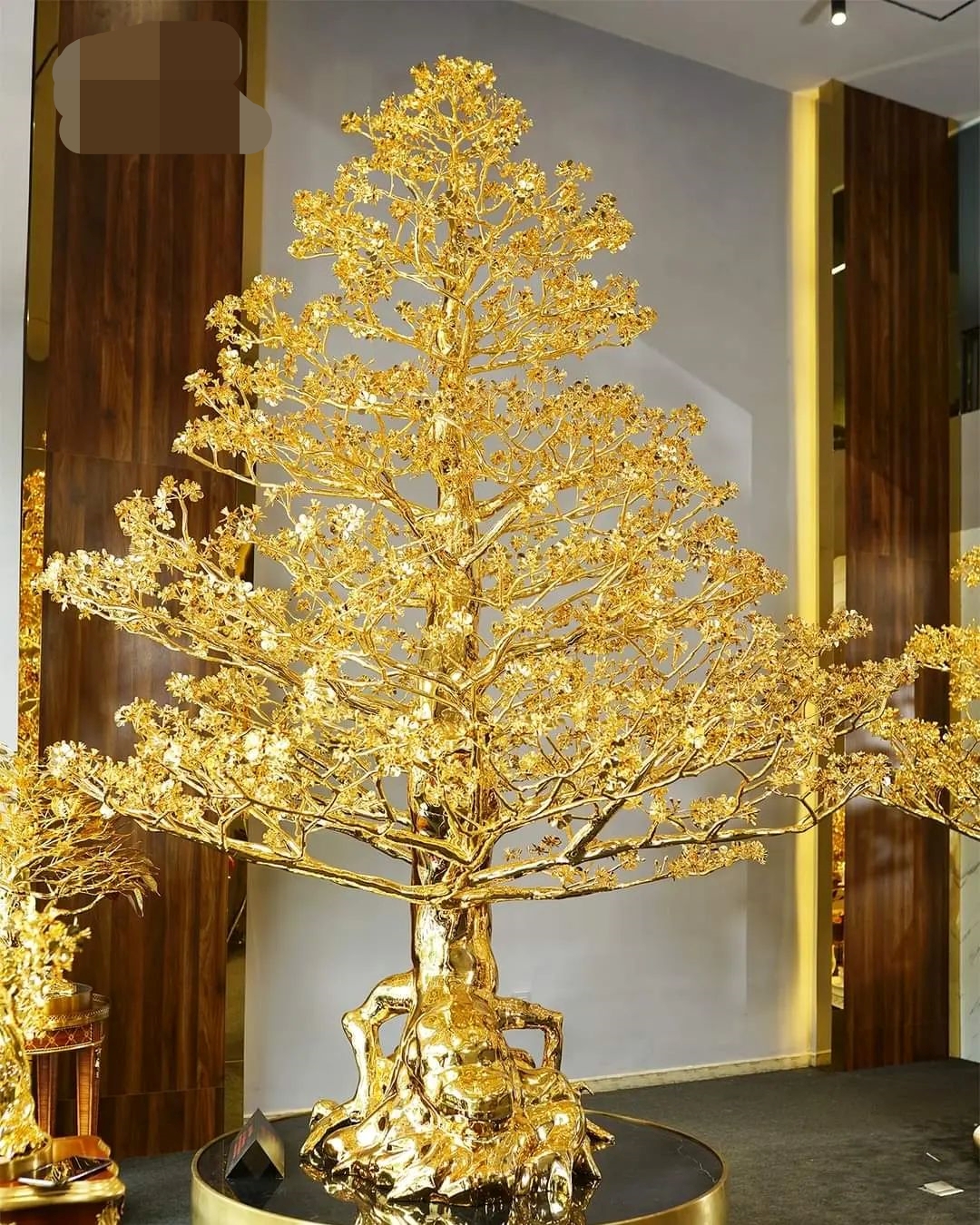 Choáng với thú chơi đại gia Việt:  &quot;Săn&quot; cây mai mạ vàng cao 3m giá 5,5 tỷ đồng - Ảnh 1.