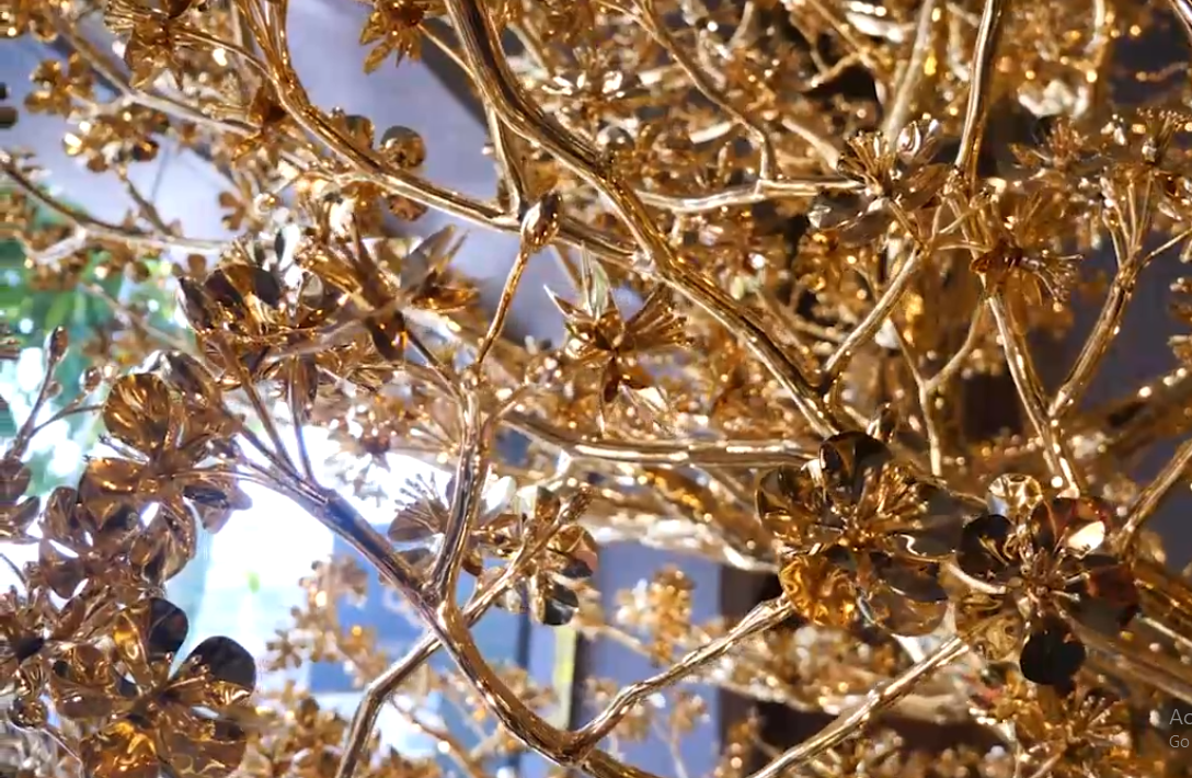 Choáng với thú chơi đại gia Việt:  &quot;Săn&quot; cây mai mạ vàng cao 3m giá 5,5 tỷ đồng - Ảnh 4.