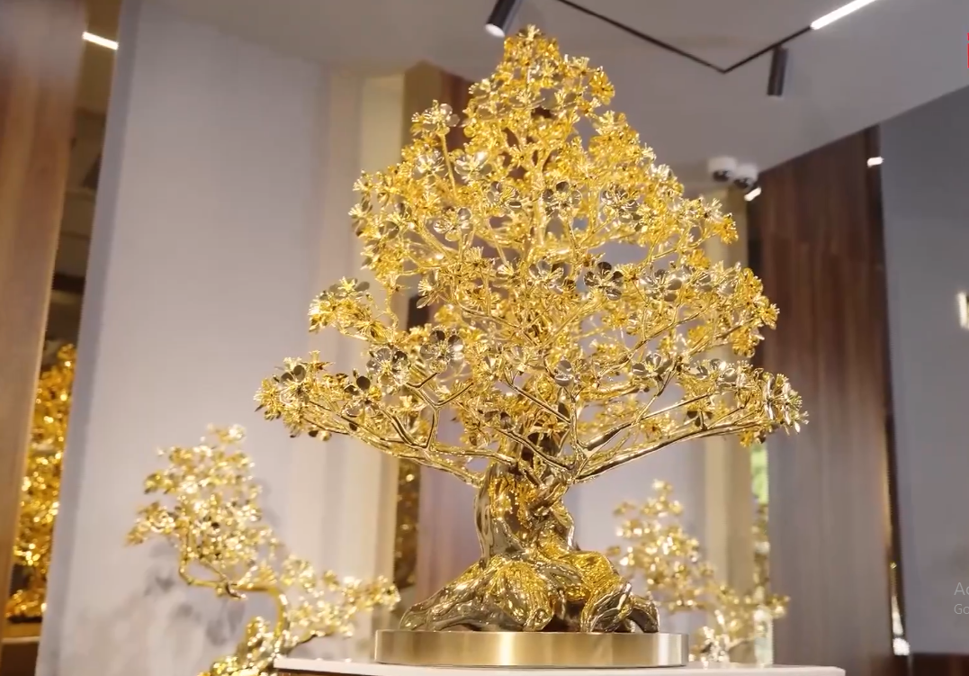 Choáng với thú chơi đại gia Việt:  &quot;Săn&quot; cây mai mạ vàng cao 3m giá 5,5 tỷ đồng - Ảnh 9.