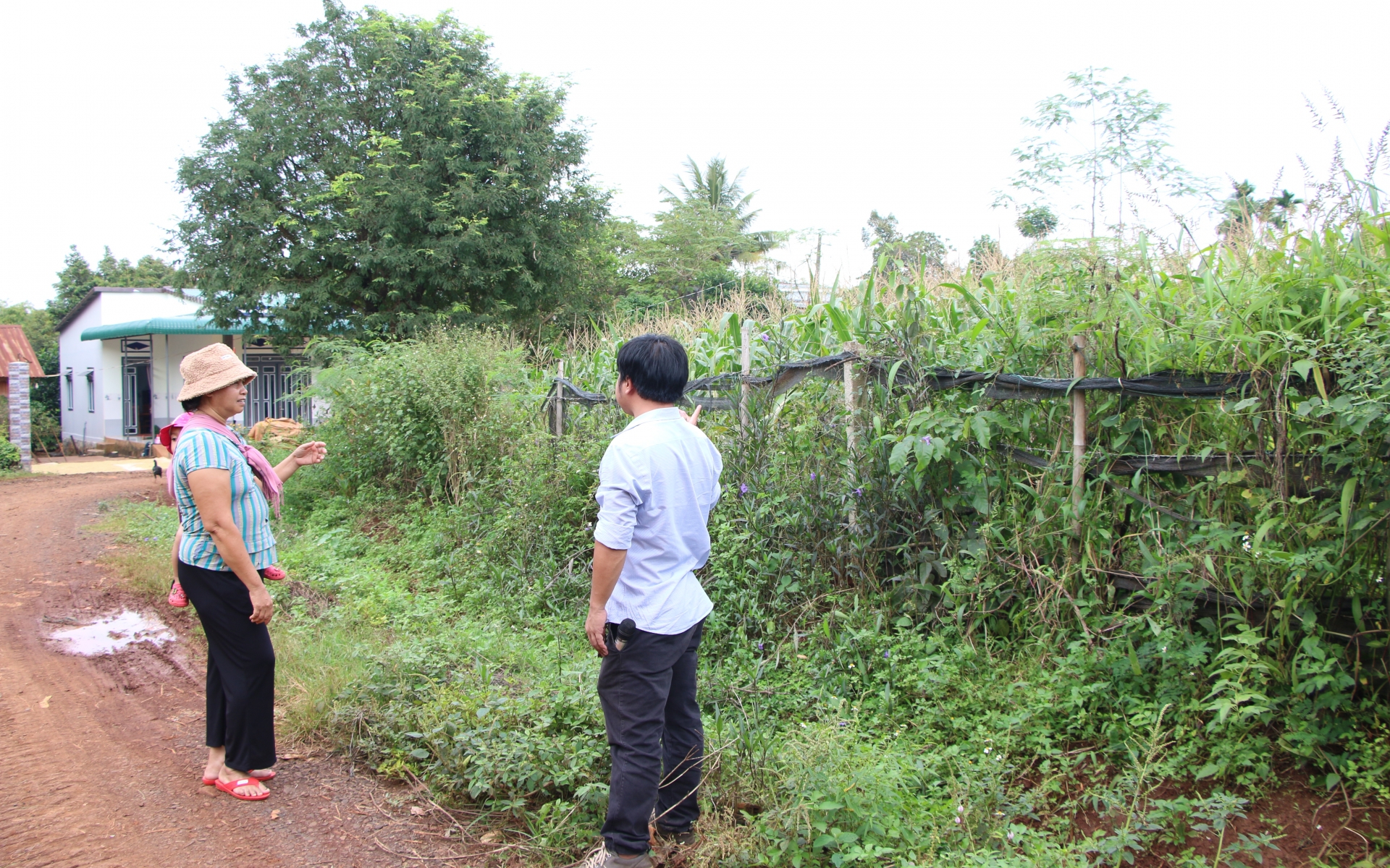 Đất nông thôn &quot;lạnh tanh&quot; sau cơn sốt, nông dân một xã ở Đắk Lắk kể chuyện bán đất mất luôn sổ đỏ