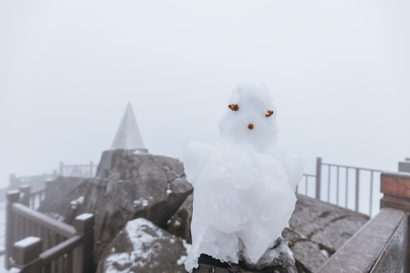 Du khách thích thú check-in, nặn người tuyết trên đỉnh Fansipan  - Ảnh 8.