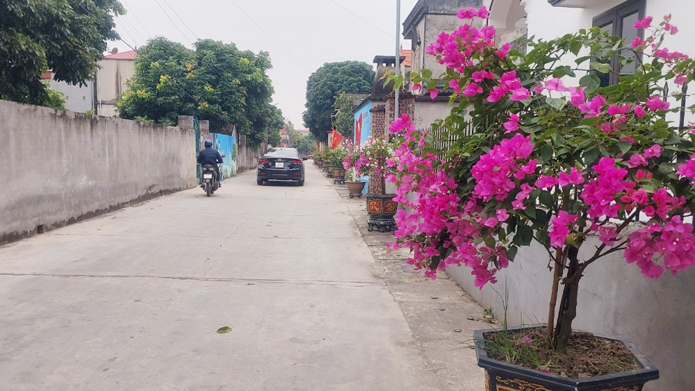 Làng &quot;sành điệu&quot; ở Bắc Giang, đường nông thôn mới trồng hoa giấy, cây cảnh &quot;xịn&quot;, ai qua cũng trầm trồ - Ảnh 2.