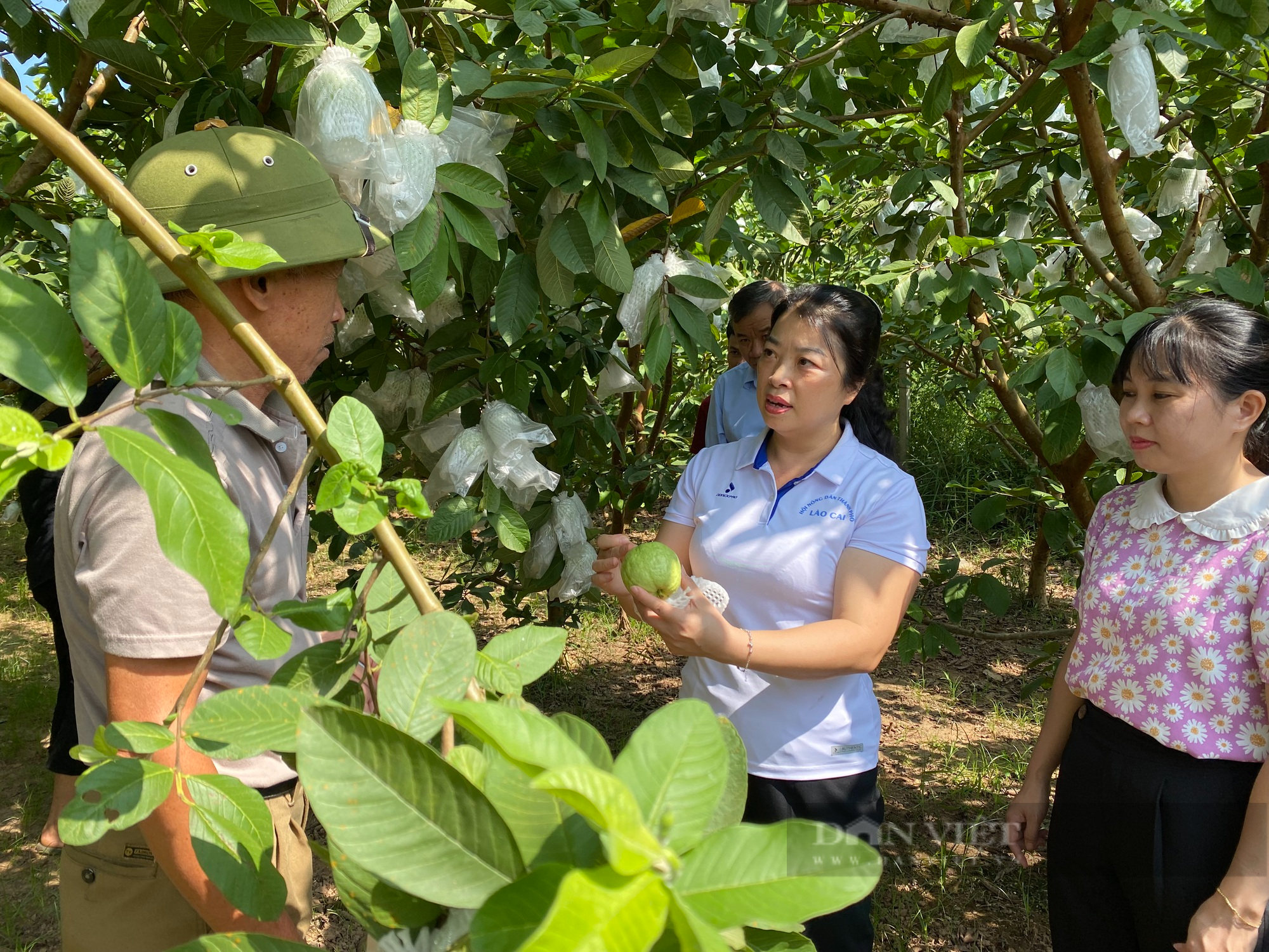 Sáu nhiệm vụ trọng tâm sau Hội nghị đối thoại giữa Thường trực UBND tỉnh Lào Cai với nông dân - Ảnh 3.