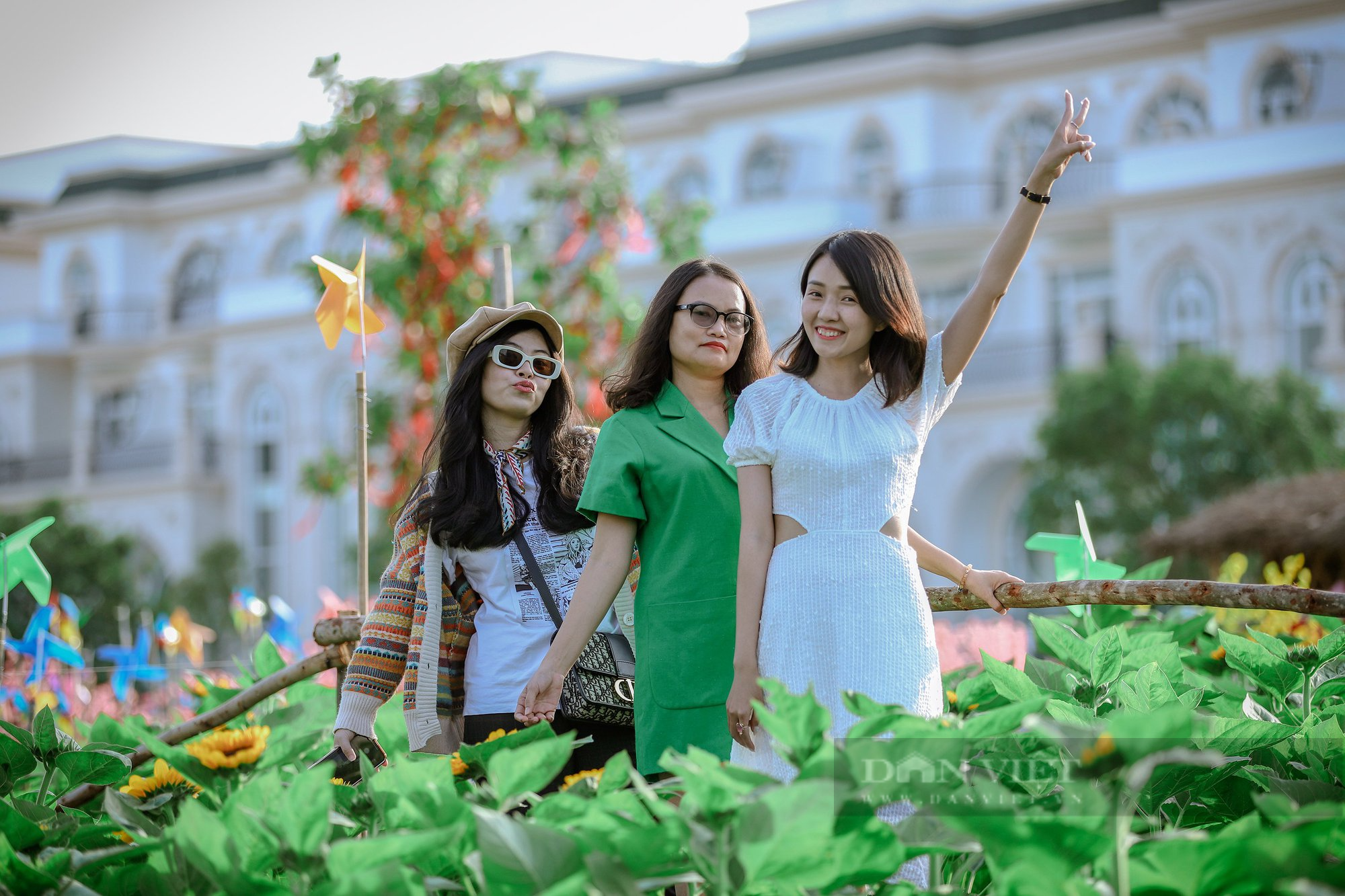 Giới trẻ Sài Gòn rủ nhau check-in vườn hoa hướng dương 12.000m2 ở TP Thủ Đức - Ảnh 5.
