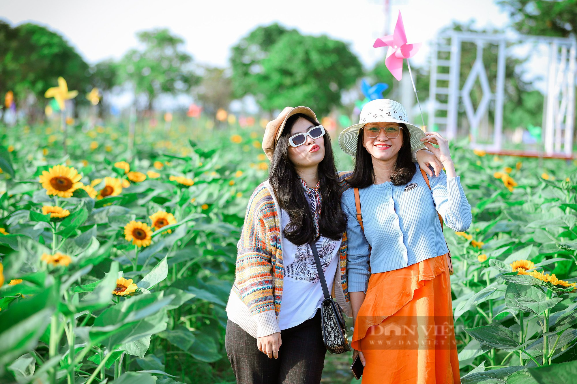 Giới trẻ Sài Gòn rủ nhau check-in vườn hoa hướng dương 12.000m2 ở TP Thủ Đức - Ảnh 6.