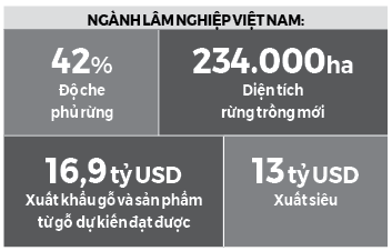 gop/ Việt Nam sẽ tham gia thị trường các-bon thế giới - Ảnh 3.