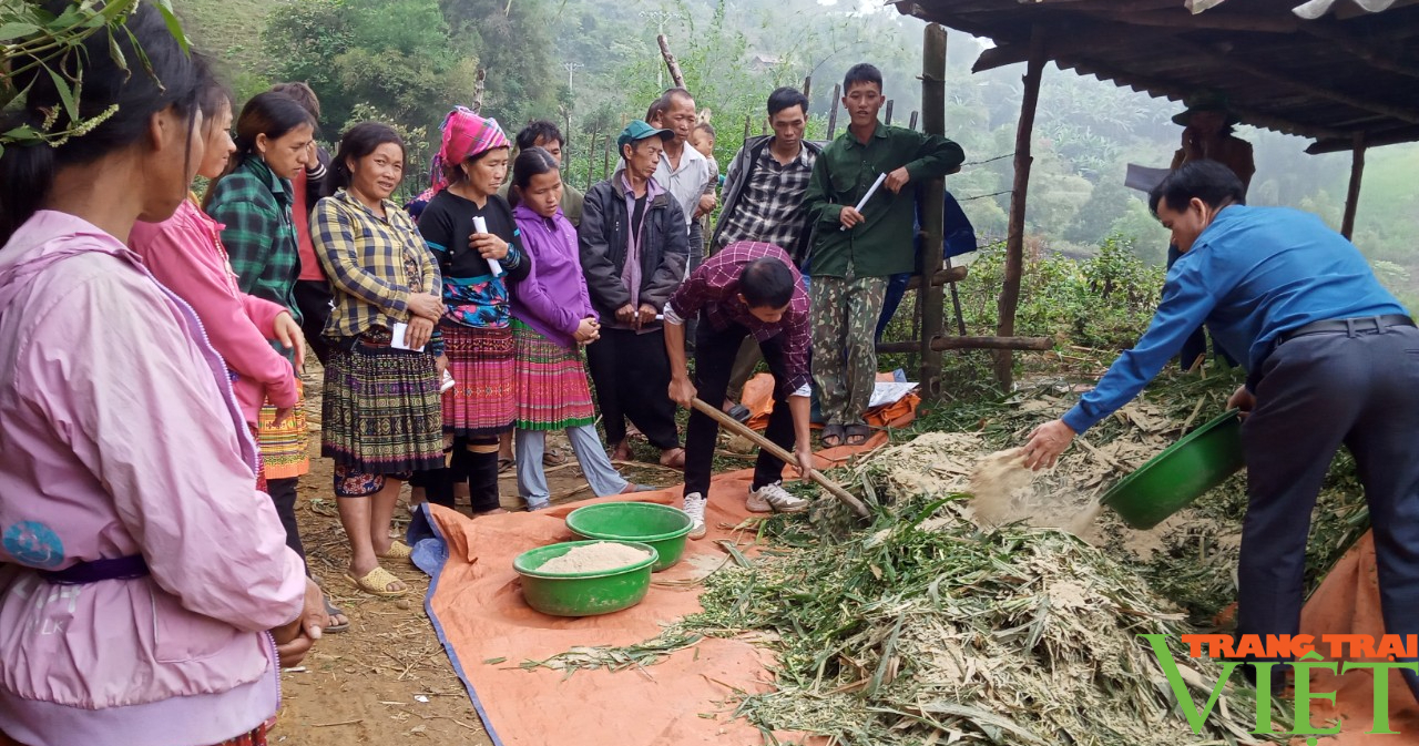 Phù Yên (Sơn La): Chủ động phòng chống đói, rét cho đàn gia súc - Ảnh 7.