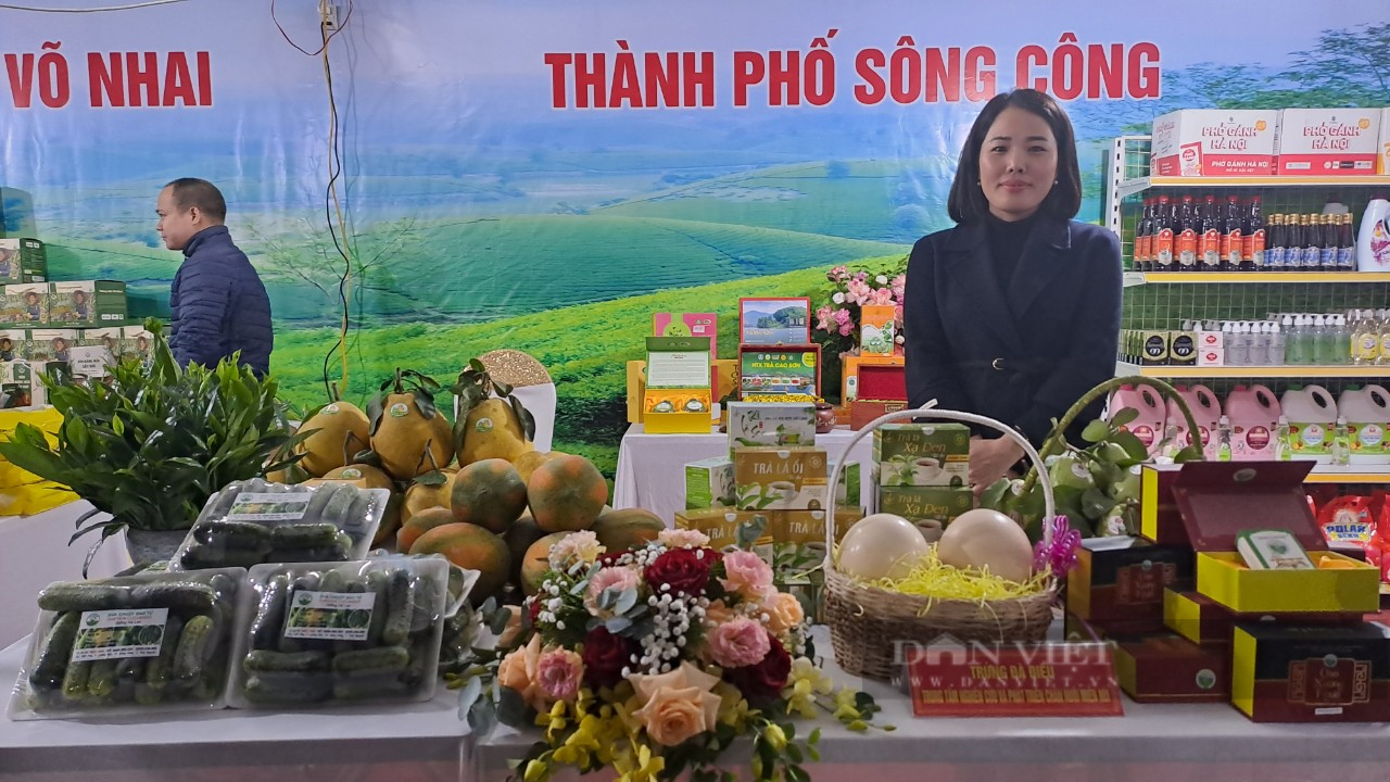 Thái Nguyên: Hội chợ kích cầu tiêu dùng gắn với cuộc vận động “Người Việt ưu tiên dùng hàng Việt” - Ảnh 1.