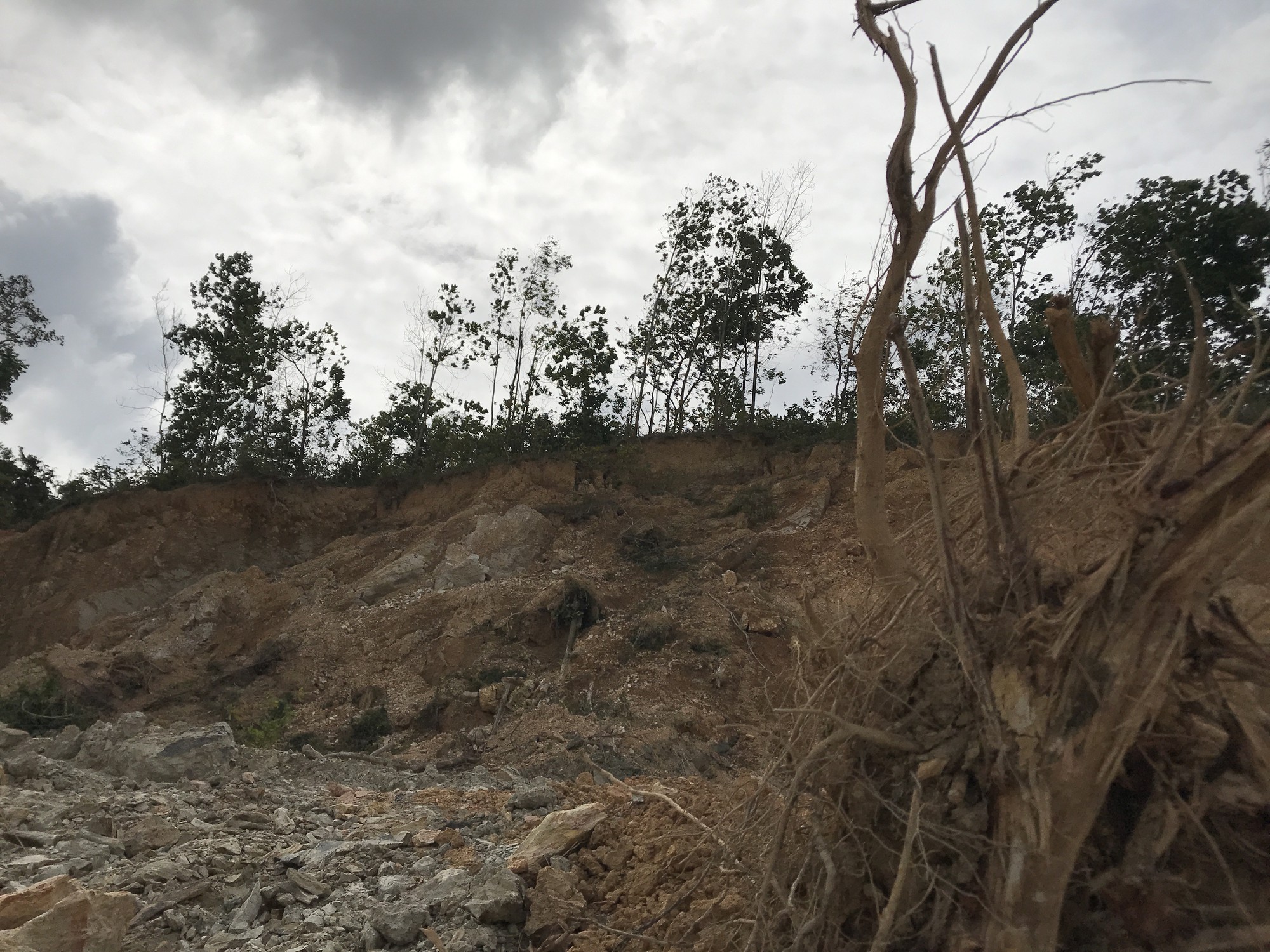 Đắk Lắk: Doanh nghiệp múc rừng phòng hộ để làm đường - Ảnh 2.