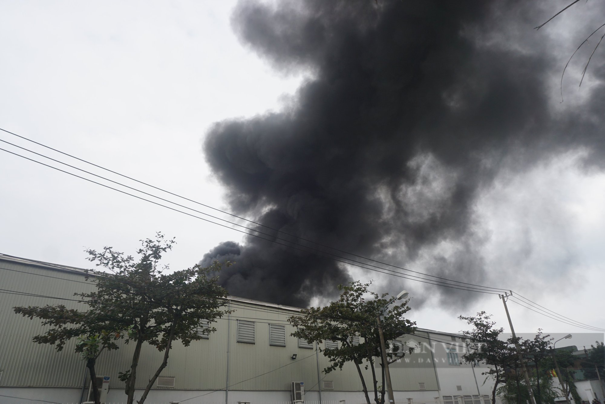 Đà Nẵng: Cháy lớn tại khu công nghiệp, nhiều tài sản bị thiêu rụi  - Ảnh 1.