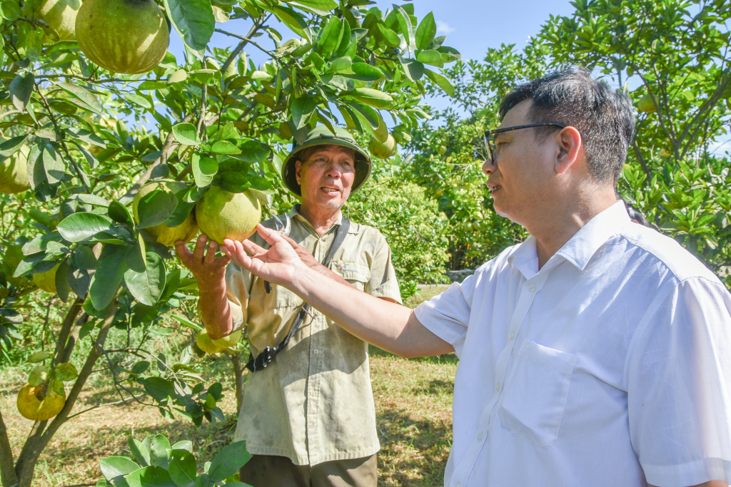 Nông dân Quảng Ninh sản xuất kinh doanh giỏi, có tỷ phú nông dân được tặng Bằng khen của Thủ tướng Chính phủ  - Ảnh 4.