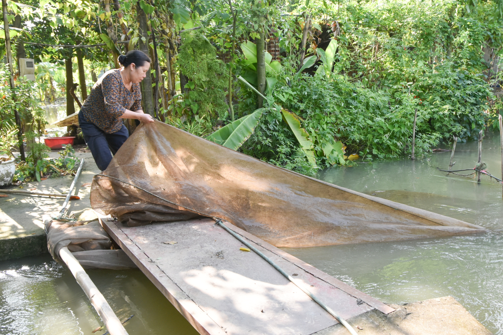 Nông dân Quảng Ninh sản xuất kinh doanh giỏi, có tỷ phú nông dân được tặng Bằng khen của Thủ tướng Chính phủ  - Ảnh 2.