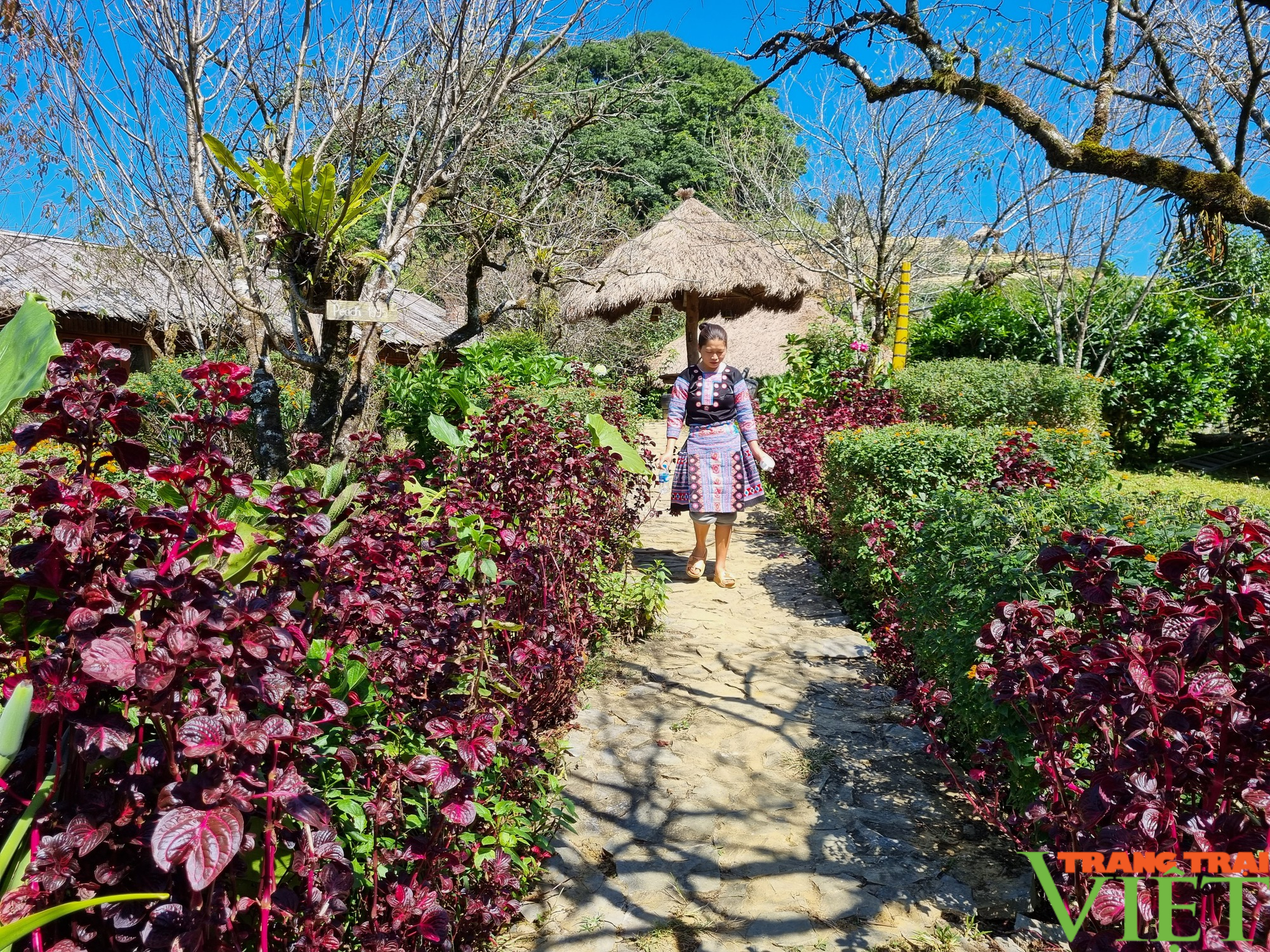 Hòa Bình: Nông dân tăng cường liên kết, cùng nhau làm homestay - Ảnh 2. Hòa Bình: Nông dân tăng cường liên kết, cùng nhau làm homestay - Ảnh 2.