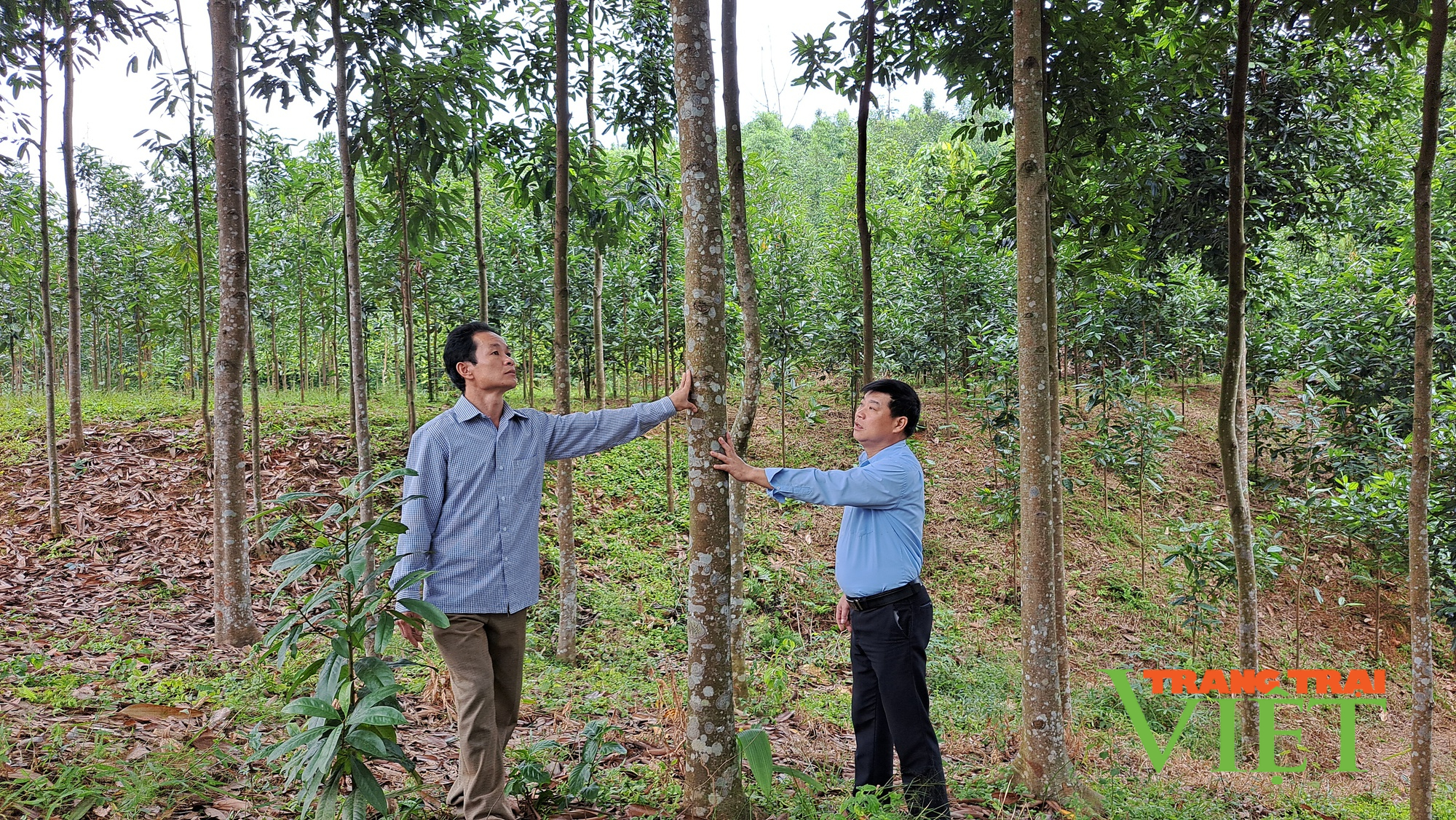 Hội Nông dân xã Nậm Dạng chung tay xây dựng nông thôn mới - Ảnh 5.