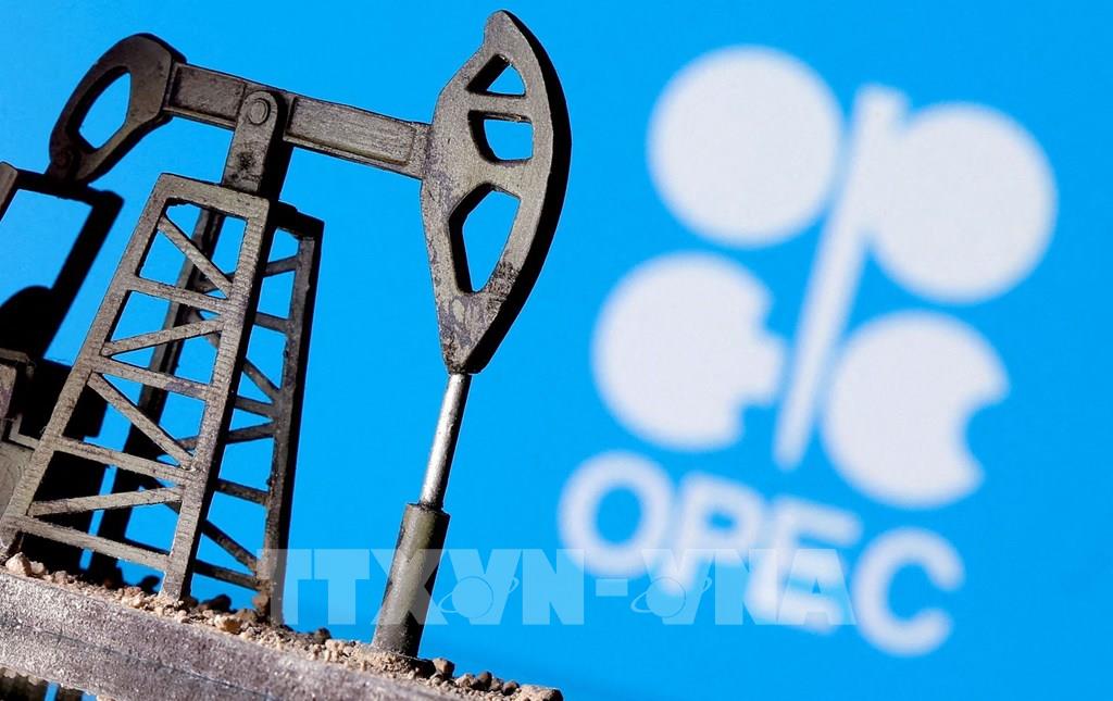 OPEC+ có thể cân nhắc cắt giảm sản lượng nhiều hơn tại cuộc họp tháng 12 - Ảnh 1.