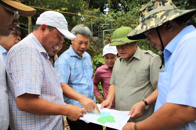 Quảng Nam: Huyện Nam Trà My thành vùng trồng cây dược liệu trọng điểm Quốc gia vào năm 2030 - Ảnh 1.
