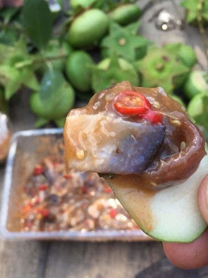 Những đặc sản ăn sống đặc trưng ở Việt Nam không phải ai cũng can đảm thử - Ảnh 13.
