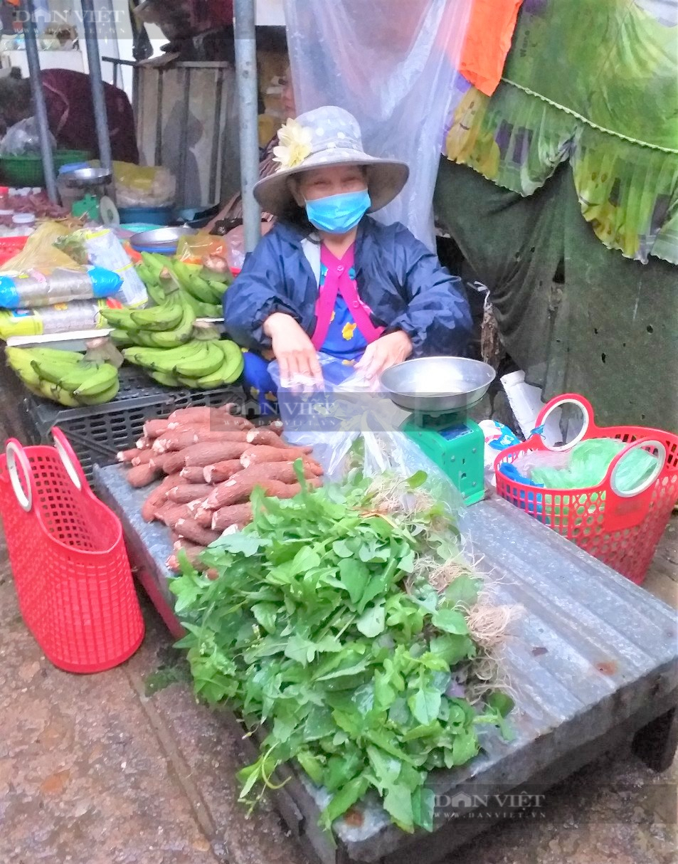 Nông dân Phú Yên hái loại rau mọc dại trên rẫy, ai ngờ lại thành đặc sản, kiếm cả bộn tiền - Ảnh 3.