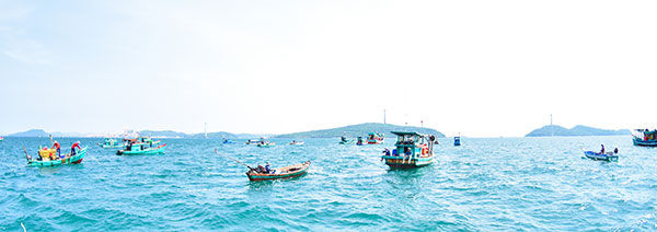 Câu cá mực trứng mùa gió bấc, giật veo véo mỏi tay ở biển Phú Quốc tỉnh Kiên Giang - Ảnh 1.