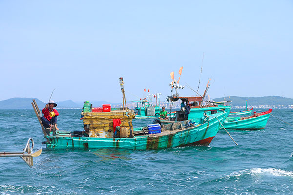 Câu cá mực trứng mùa gió bấc, giật veo véo mỏi tay ở biển Phú Quốc tỉnh Kiên Giang - Ảnh 2.