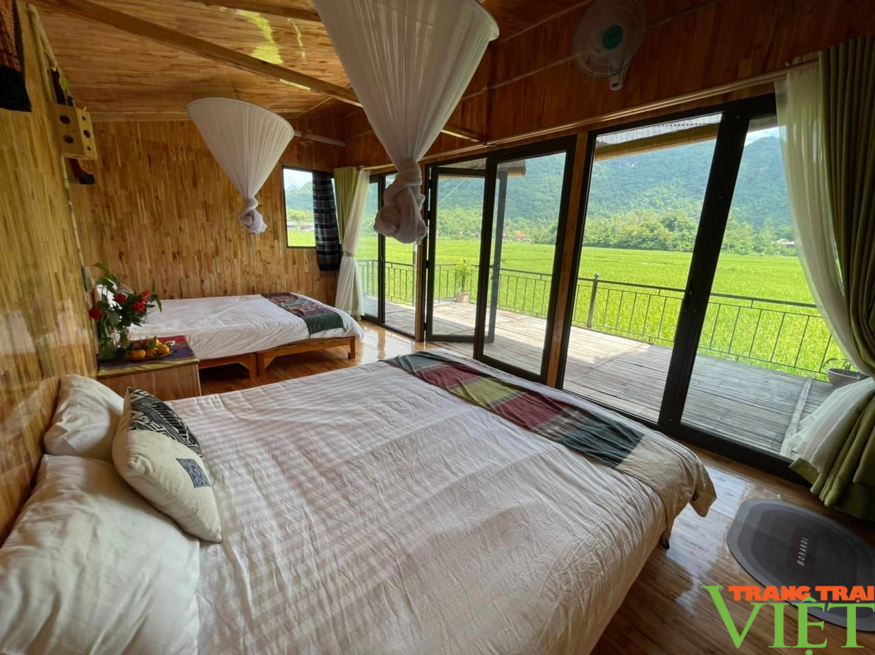 Cô gái Thái bỏ nghề hướng dẫn viên về quê mở homestay đẹp như tranh vẽ - Ảnh 2.