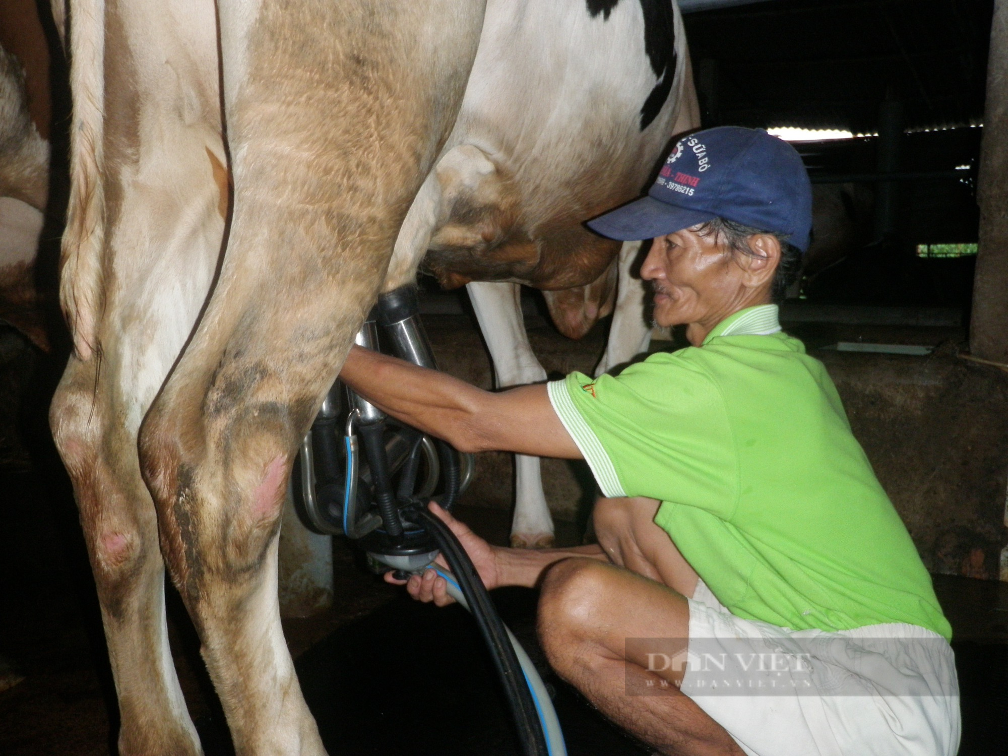 TP.HCM tăng cường nhập khẩu giống vật nuôi chất lượng cao để chuyển dịch cơ cấu nông nghiệp - Ảnh 3.