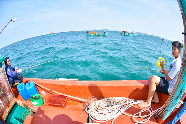 Câu cá mực trứng mùa gió bấc, giật veo véo mỏi tay ở biển Phú Quốc tỉnh Kiên Giang - Ảnh 6.