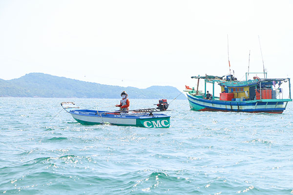 Câu cá mực trứng mùa gió bấc, giật veo véo mỏi tay ở biển Phú Quốc tỉnh Kiên Giang - Ảnh 7.