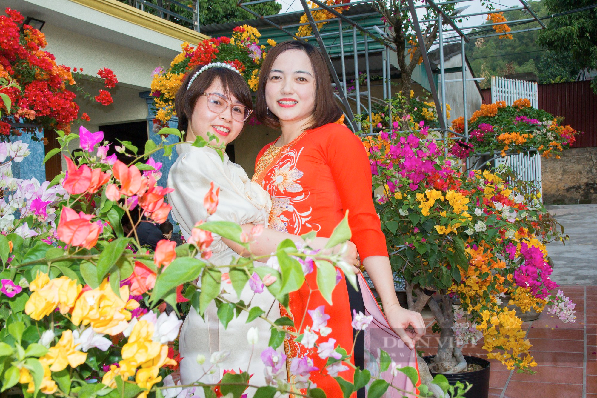 Thanh niên nông thôn thế hệ 8X làm vườn hoa giấy nhiều màu sắc cho du khách “check in” miễn phí để bán cây - Ảnh 4.