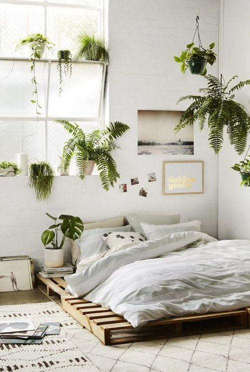 Người xưa dặn: &quot;Phòng ngủ không trồng 7 loại cây cảnh, đầu giường không treo gương&quot; - Ảnh 2.